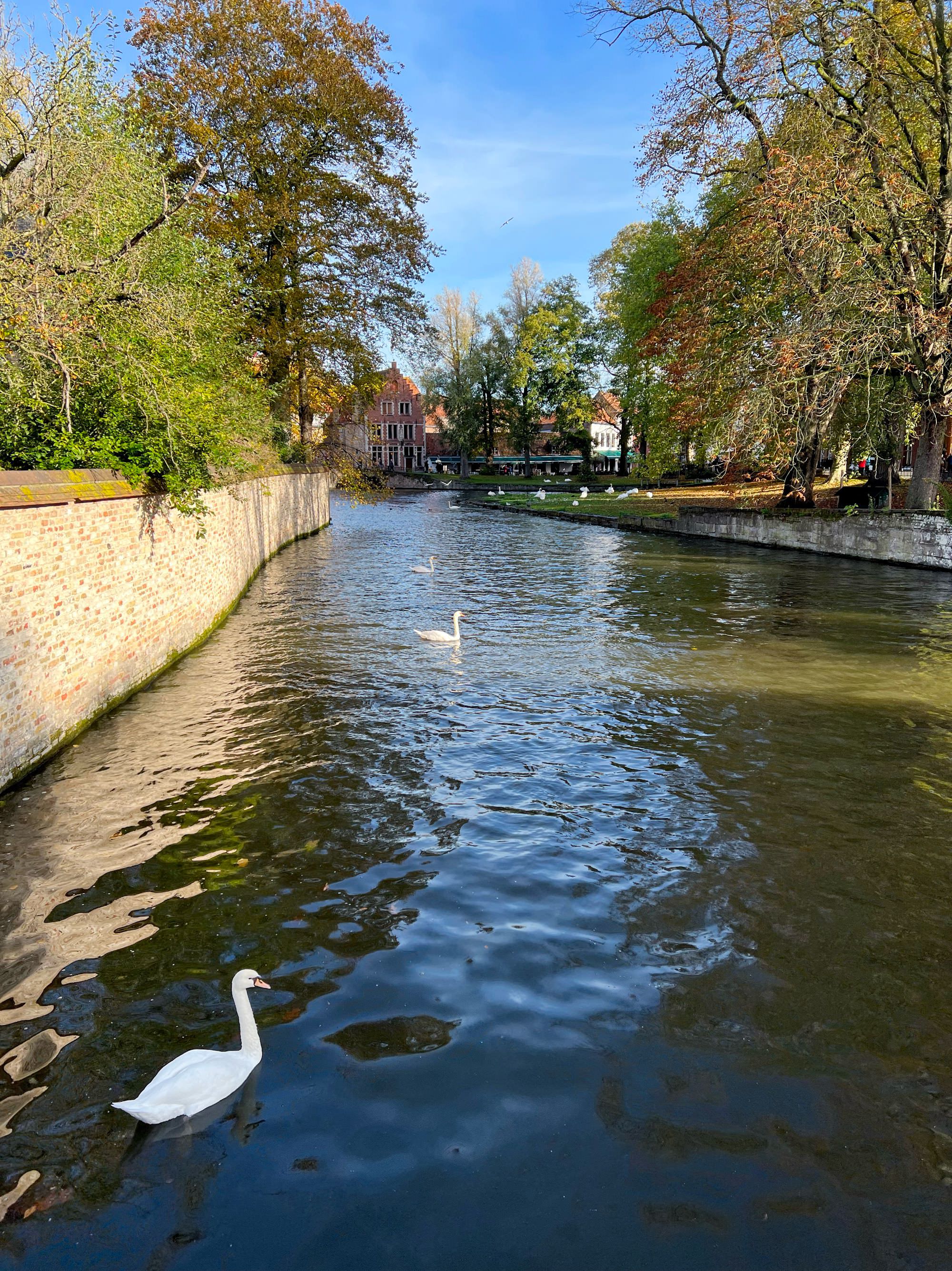 Bruges en automne